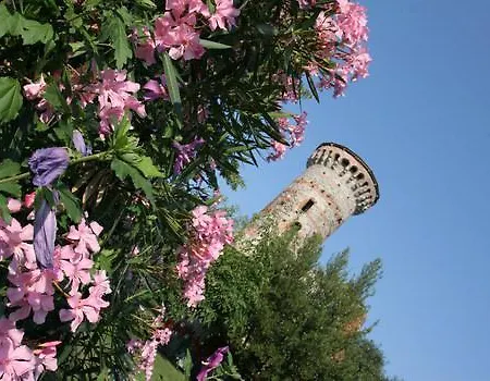 La Bustina Di Zucchero